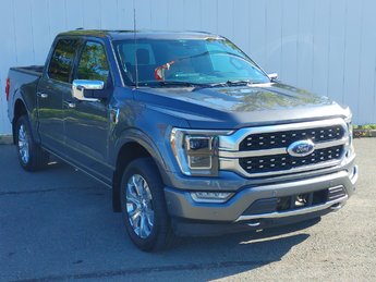 Ford F-150 Platinum | Leather | Roof | Nav | Warranty to 2027 2022