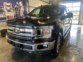 Ford F-150 XLT cabine SuperCrew 4RM caisse de 5,5 pi 2019