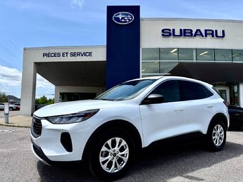 Ford Escape Active 2023