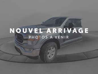 Ford F-150  2022