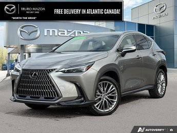 Lexus NX 350H PREMIUM $164/WK+TX! ONE OWNER! NEW BRAKES! RED LEATHER! 2024