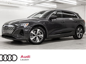 Audi Q8 e-tron B&O PREMIUM SOUND SYSTEM 2024
