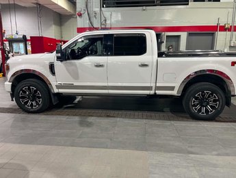 Ford Super Duty F-250 SRW PLATINUM 2020