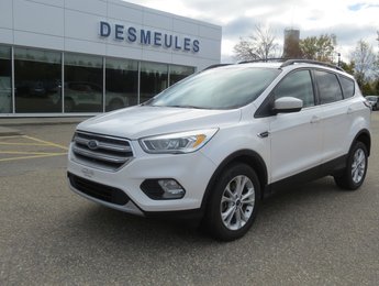 Ford Escape SE AWD 2.0 L 201A 2017