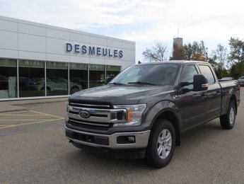 2020 Ford F-150 Super Crew 157'' WB 301A