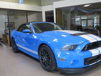 2013 Ford MUSTANG Shelby GT500 Convertible