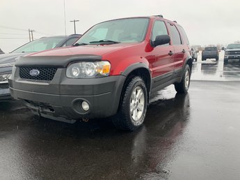 2007 Ford Escape XLT