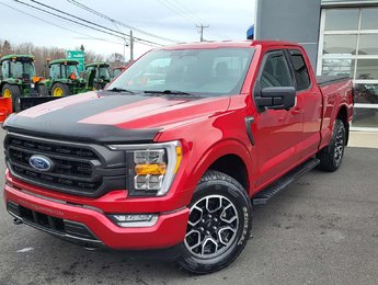 Ford F-150 XLT SPORT 302A 2021