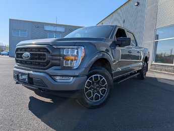 Ford F-150 XLT SPORT 302A 2022