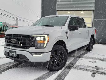Ford F-150 XLT SPORT 302A  BLACK EDITION CUIR 2023