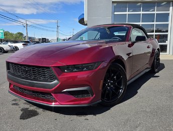 2025 Ford Mustang Premium  201A  ENSEMBLE NITE PONY
