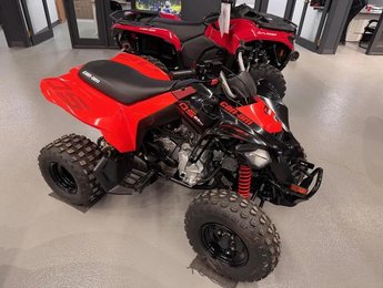 Can-Am DS 250  2026