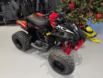 2026 Can-Am RENEGADE X XC 110 Xxc