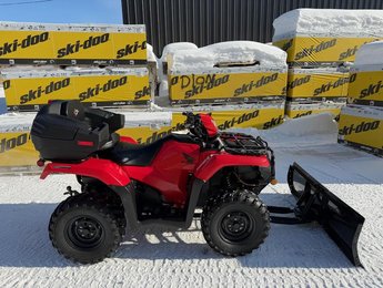 Honda RUBICON 500 + Chenille Tatou Camso  2017