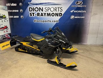 Ski-Doo Renegade Enduro 900 ACE Turbo  2024