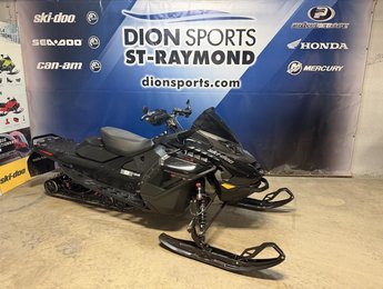 Ski-Doo RENEGADE XRS 900 ACE TURBO R X-RS  2024