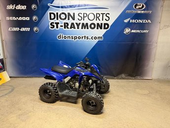 2022 Yamaha RAPTOR 90 YFM90R