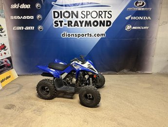 Yamaha RAPTOR 90  2020