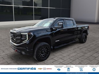 GMC Sierra 1500 4WD Crew Cab Elevation 2023