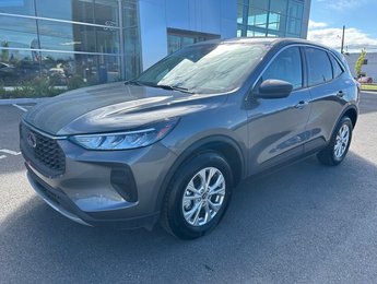 Ford Escape ACTIVE 2024