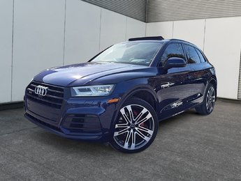 Audi SQ5 Technik 2020