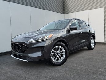 Ford Escape SE 2020