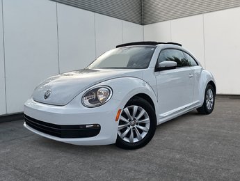 Volkswagen Beetle Coupe  2014