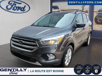 Ford Escape SE 2017