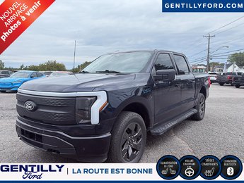 Ford F-150 Lightning Flash 2024