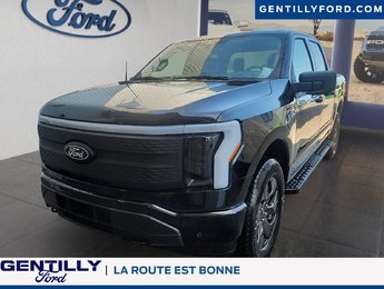 Ford F-150 Lightning Flash 2025