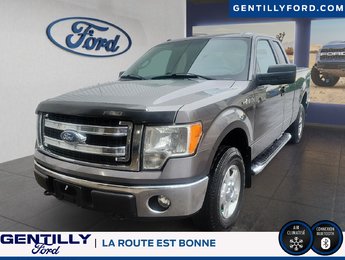 Ford F-150  2013
