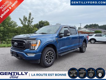 Ford F-150  2023