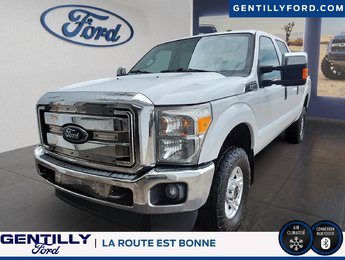 Ford Super Duty F-250 SRW  2015
