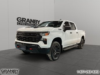 Chevrolet Silverado 1500 Custom Trail Boss Boite 6,6 V8 2024