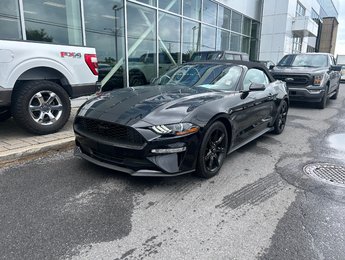 Ford Mustang convertible PREMIUM | BLACK PACK | CUIR | 2018