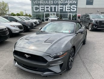 2020 Ford Mustang Convertible + ecoboost