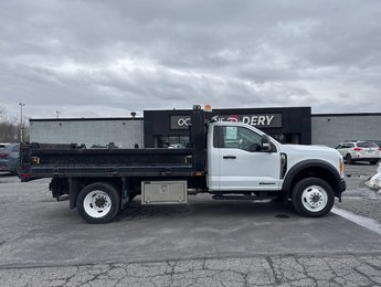 Ford Super Duty F-550 DRW BENNE 2023