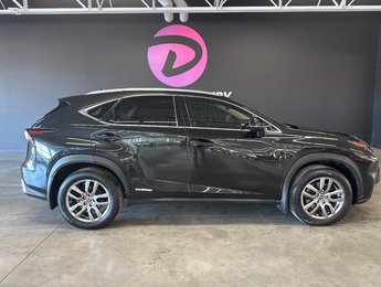 Lexus NX NX 300h LUXURY 2020