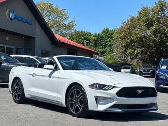 Ford Mustang CONVERTIBLE PREMIUM CUIR SEULEMENT 036586 KM 2019