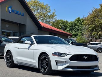 Ford Mustang CONVERTIBLE PREMIUM CUIR SEULEMENT 036586 KM 2019