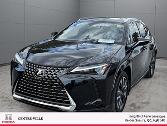 2025 Lexus UX UX 300h