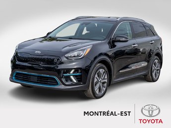 Kia Niro EV  2019