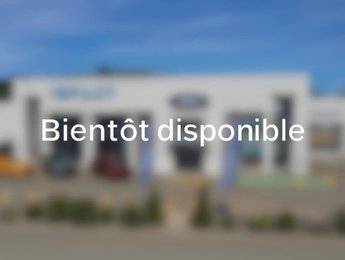 Ford Escape SE 2017