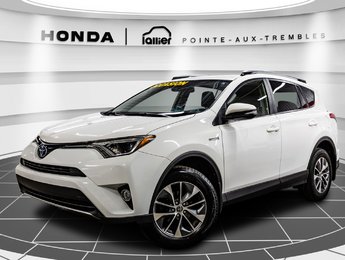 2018 Toyota RAV4 Hybrid LE+ 1 PORPRIO