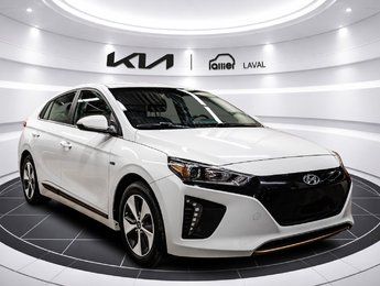 Hyundai Ioniq Electric Preferred 2019
