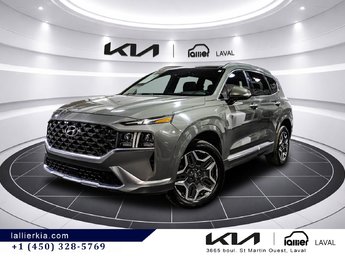 Hyundai Santa Fe Ultimate Calligraphy 2021