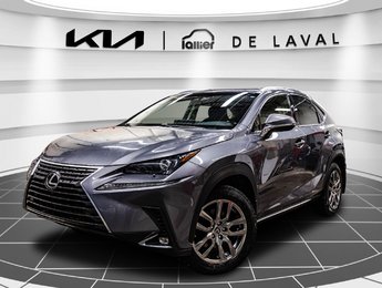 Lexus NX NX 300 2019