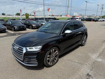 2018 Audi SQ5 Technik