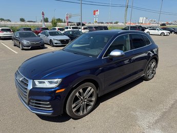Audi SQ5 Technik 2018