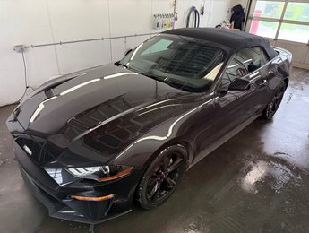 Ford Mustang ECOBOOST 2022